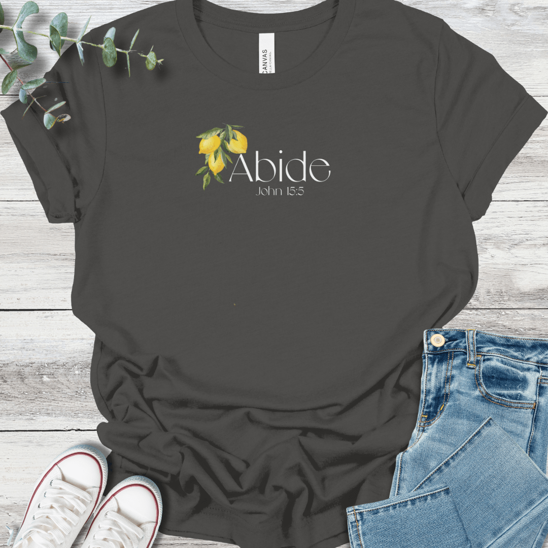Abide in Christ T-Shirt in Asphalt - Christian graphic tee