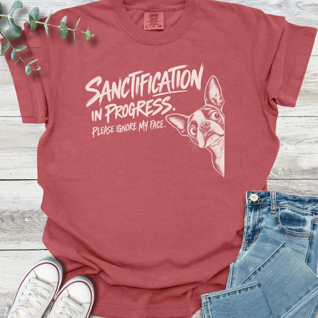 Face in Progress T-Shirt - Christian graphic tee