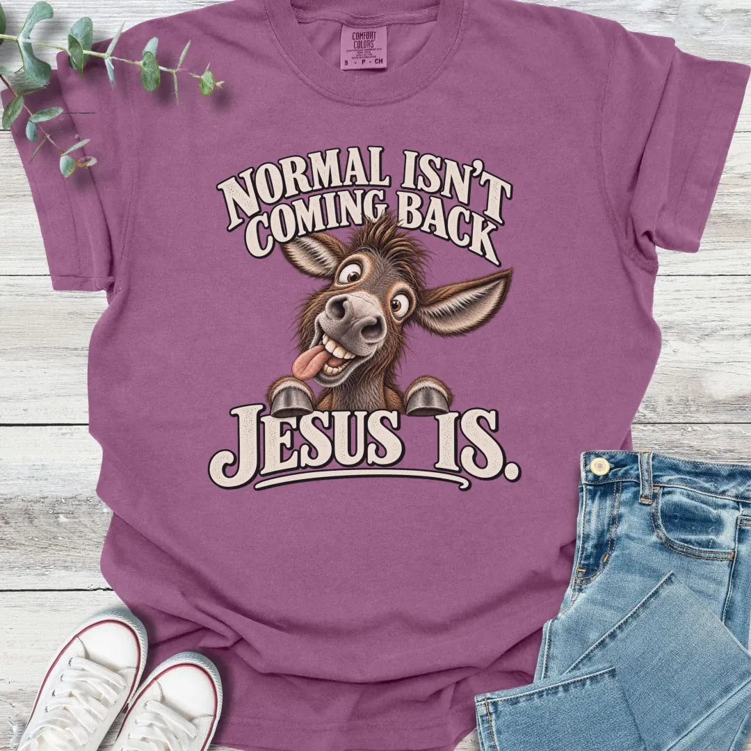 No Normal T-Shirt - Christian graphic tee