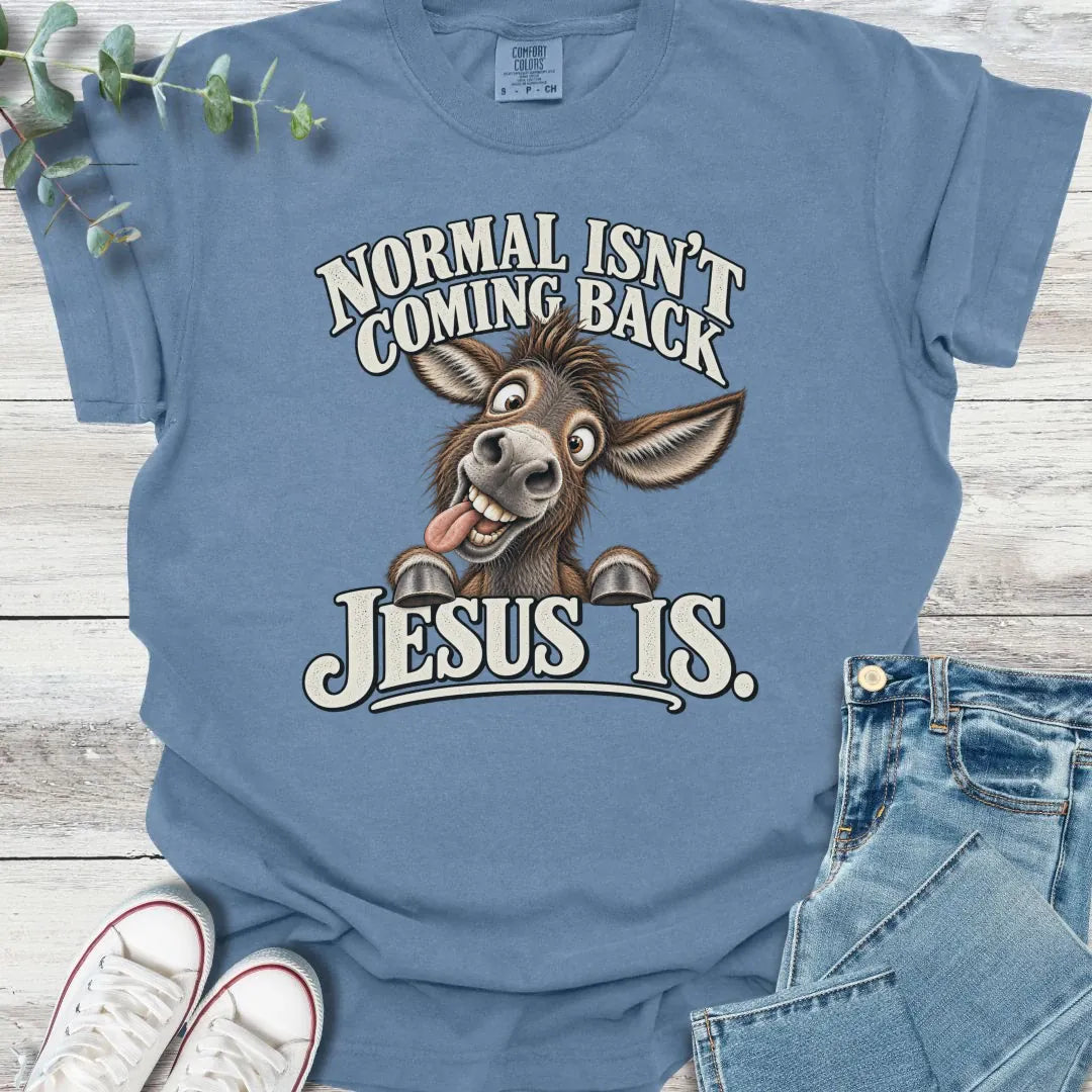 No Normal T-Shirt - Christian graphic tee