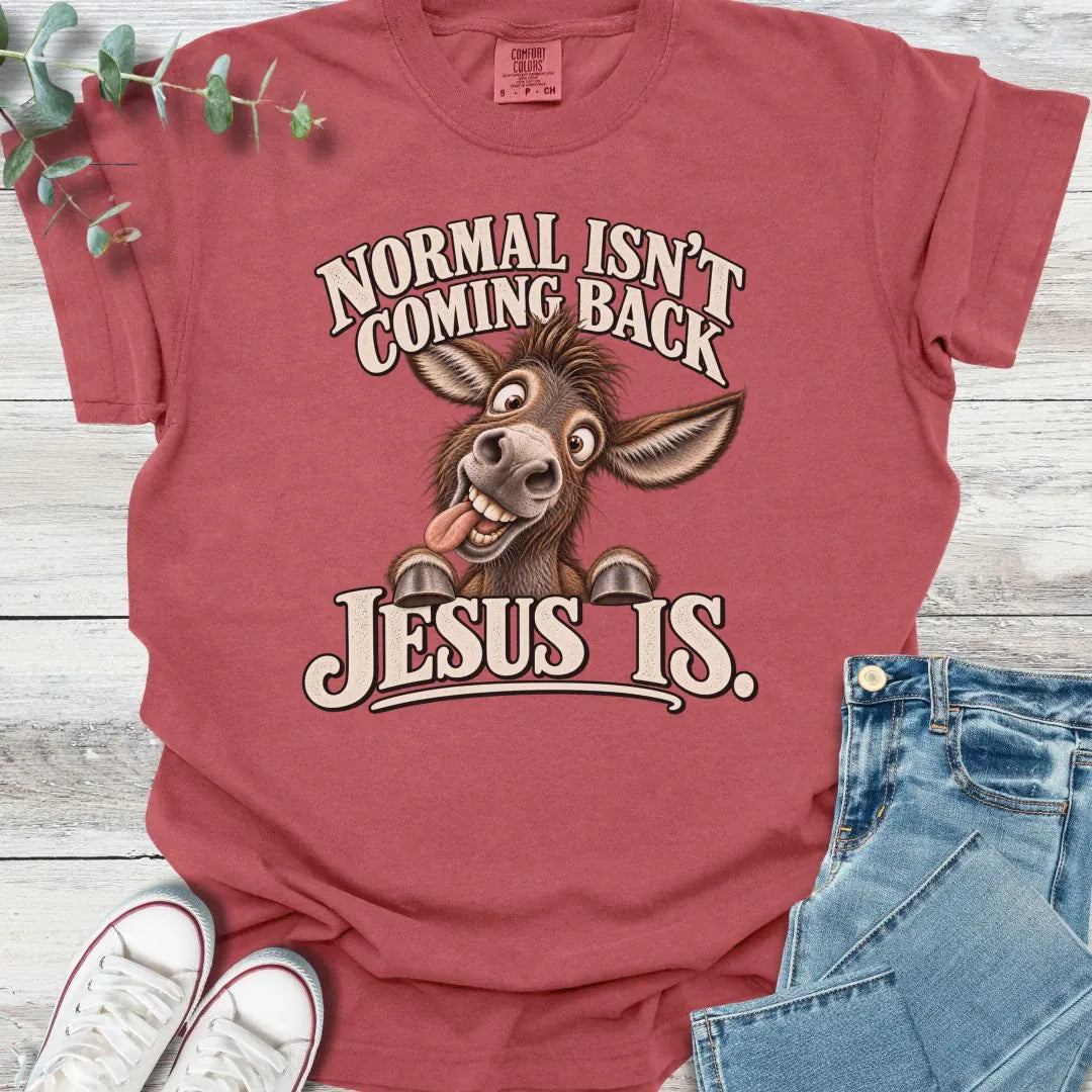No Normal T-Shirt - Christian graphic tee