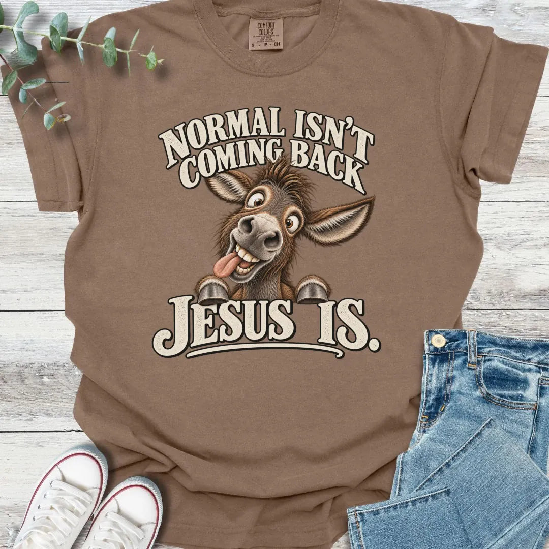 No Normal T-Shirt - Christian graphic tee