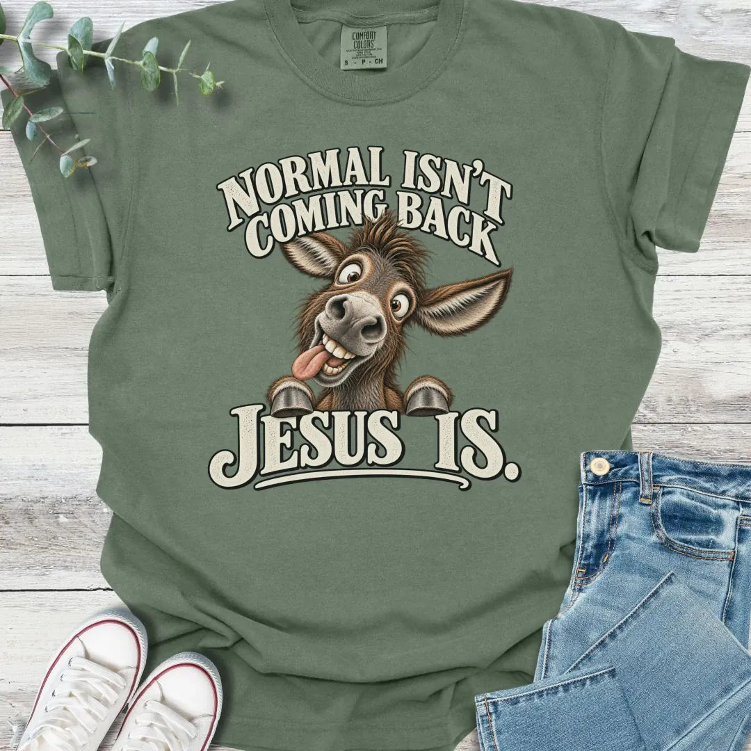 No Normal T-Shirt - Christian graphic tee
