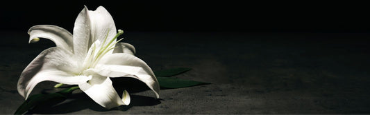 Blessed Are Those Who Mourn