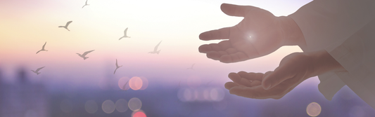 Hands reaching out with birds flying in background.