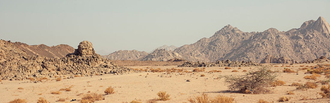 Walking by Faith — Even When You Don’t Feel It