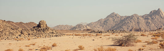 Walking by Faith — Even When You Don’t Feel It