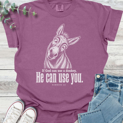 Balaam's Donkey T-Shirt - Christian graphic tee