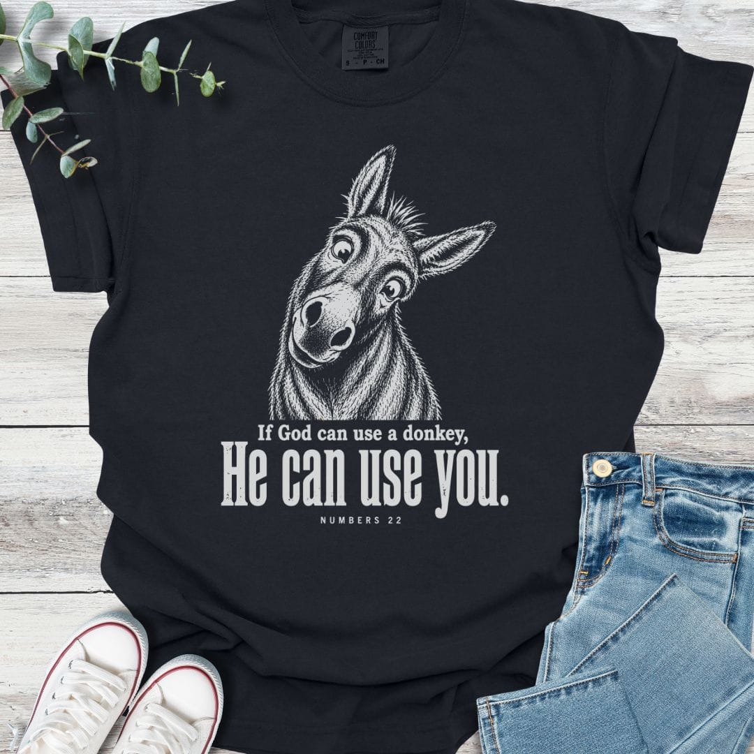Balaam's Donkey T-Shirt - Christian graphic tee