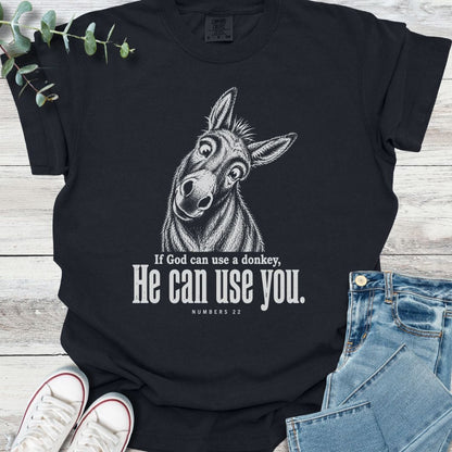 Balaam's Donkey T-Shirt - Christian graphic tee