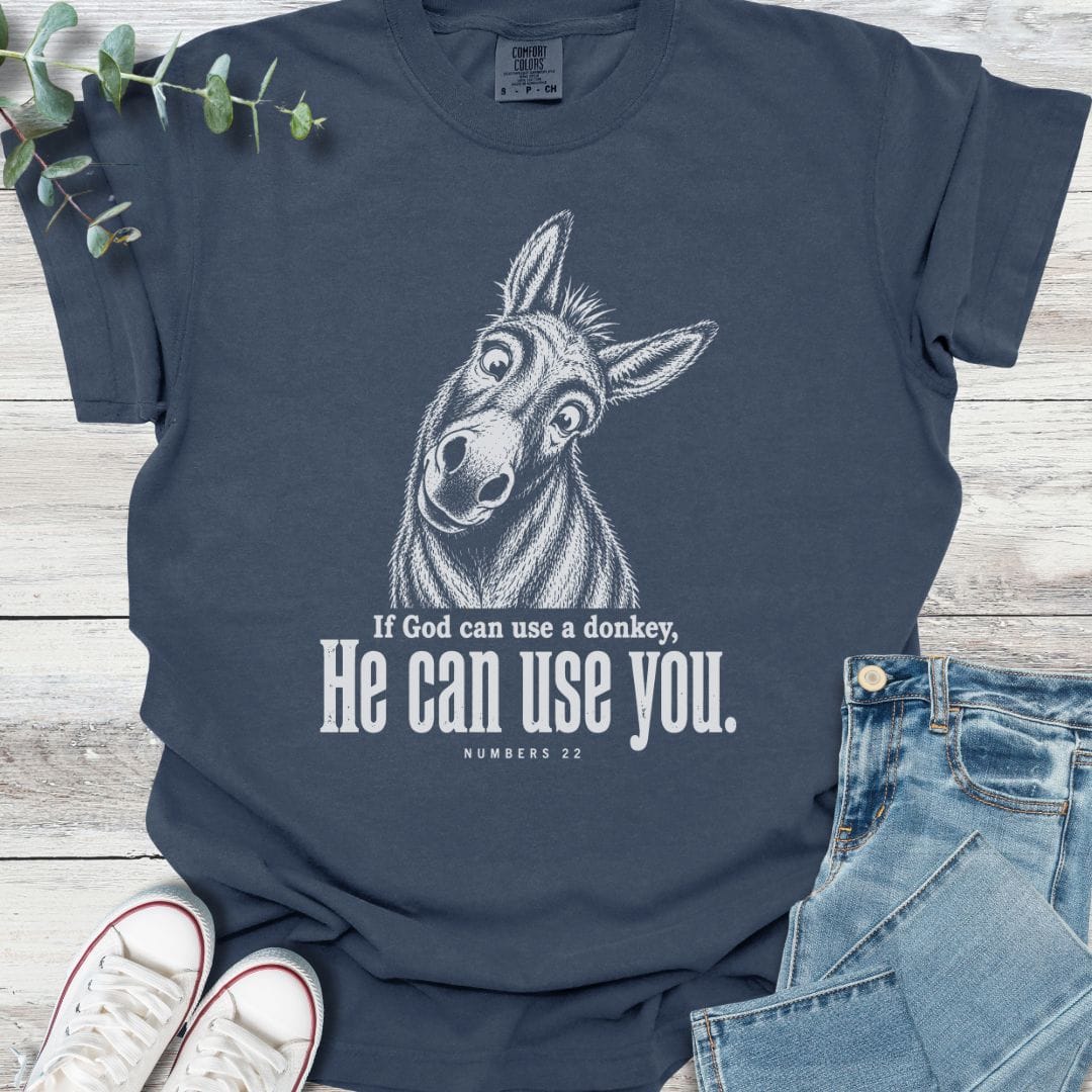 Balaam's Donkey T-Shirt - Christian graphic tee