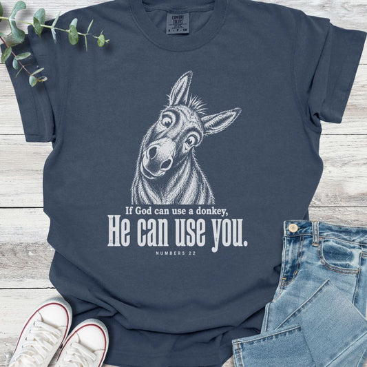Balaam's Donkey T-Shirt in Navy - Christian graphic tee