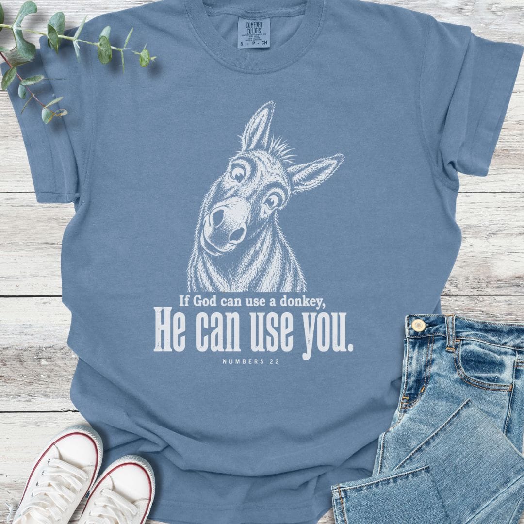 Balaam's Donkey T-Shirt - Christian graphic tee
