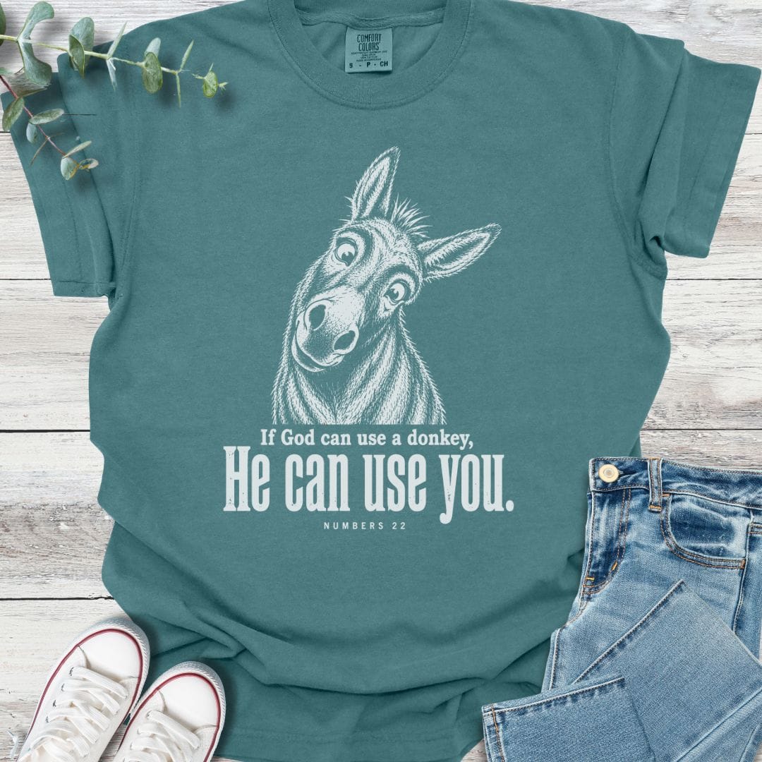 Balaam's Donkey T-Shirt - Christian graphic tee