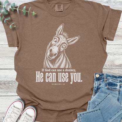 Balaam's Donkey T-Shirt - Christian graphic tee
