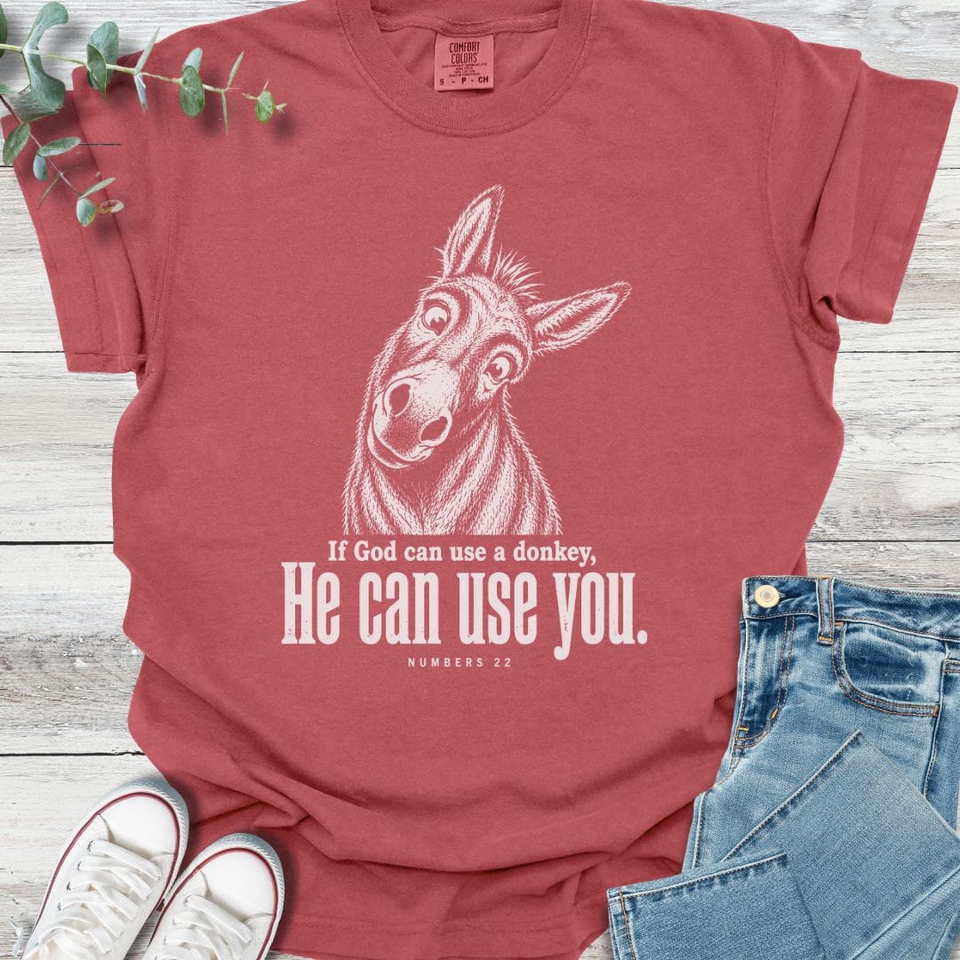 Balaam's Donkey T-Shirt - Christian graphic tee