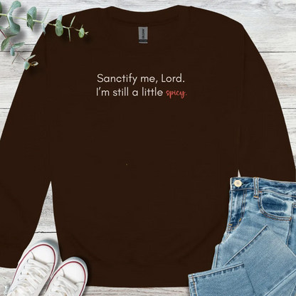 Spicy Sweatshirt - Christian graphic sweatshirt