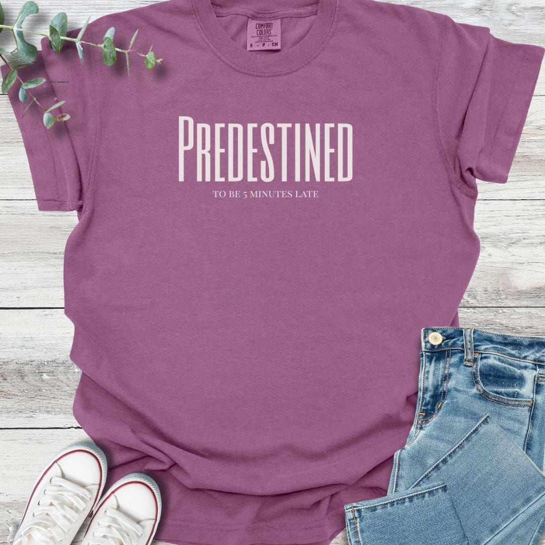 Predestined T-Shirt in Berry - Christian graphic tee