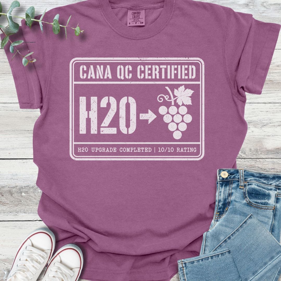 H20 Upgrade T-Shirt in Berry - Christian graphic tee
