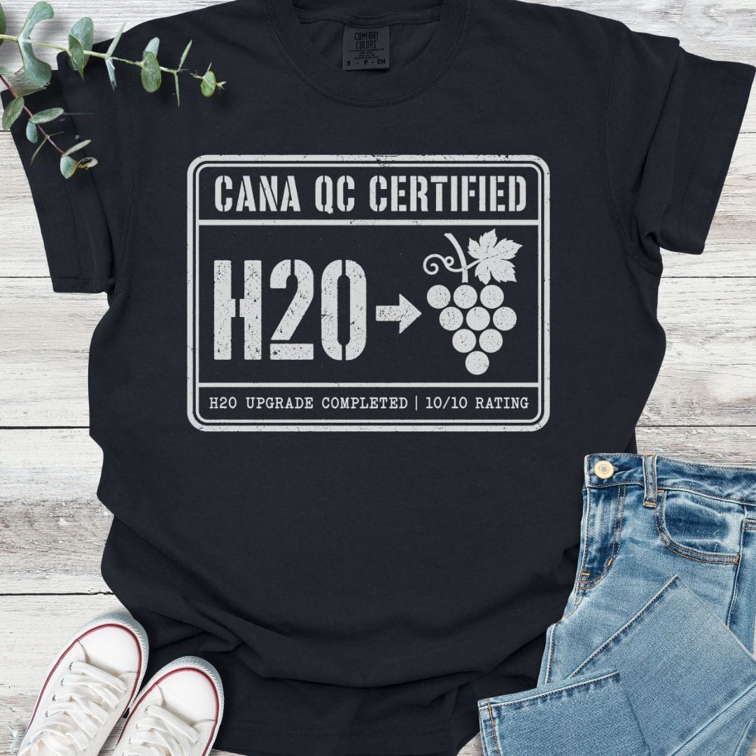 H20 Upgrade T-Shirt in Black - Christian graphic tee