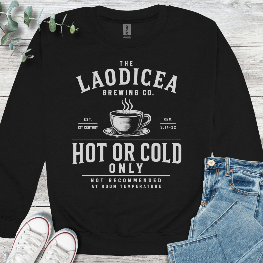 Hot or Cold Sweatshirt - Christian graphic sweatshirt