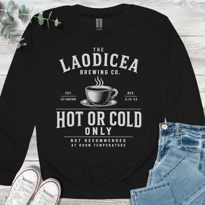 Hot or Cold Sweatshirt - Christian graphic sweatshirt