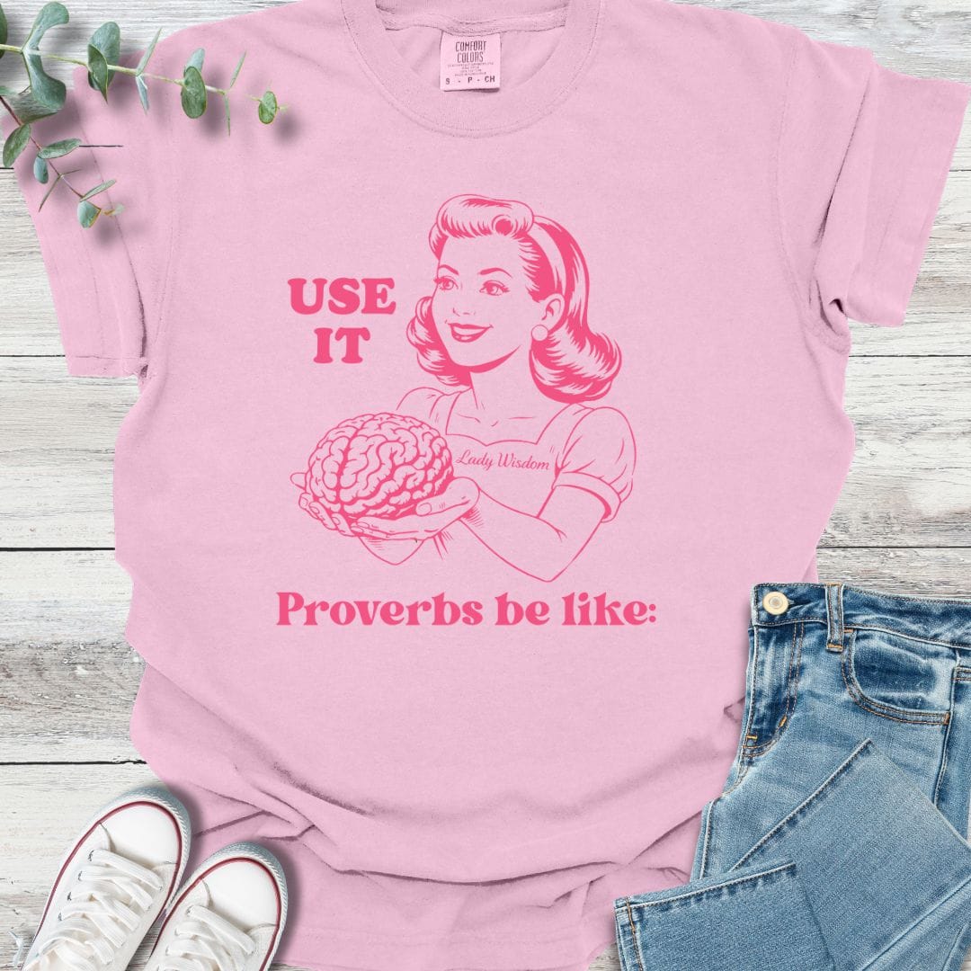Lady Wisdom T-shirt in Blossom - Christian graphic tee