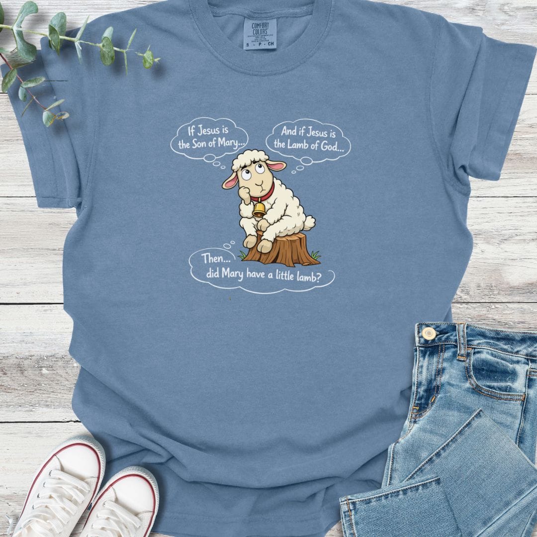 Little Lamb T-shirt in Blue Jean - Christian graphic tee
