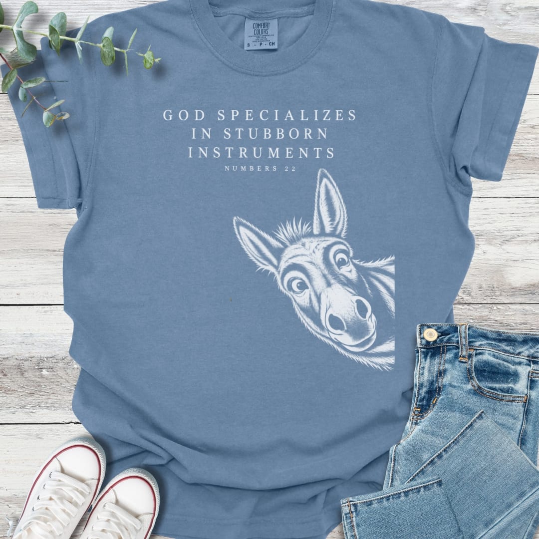 Special Instruments T-Shirt - Christian graphic tee