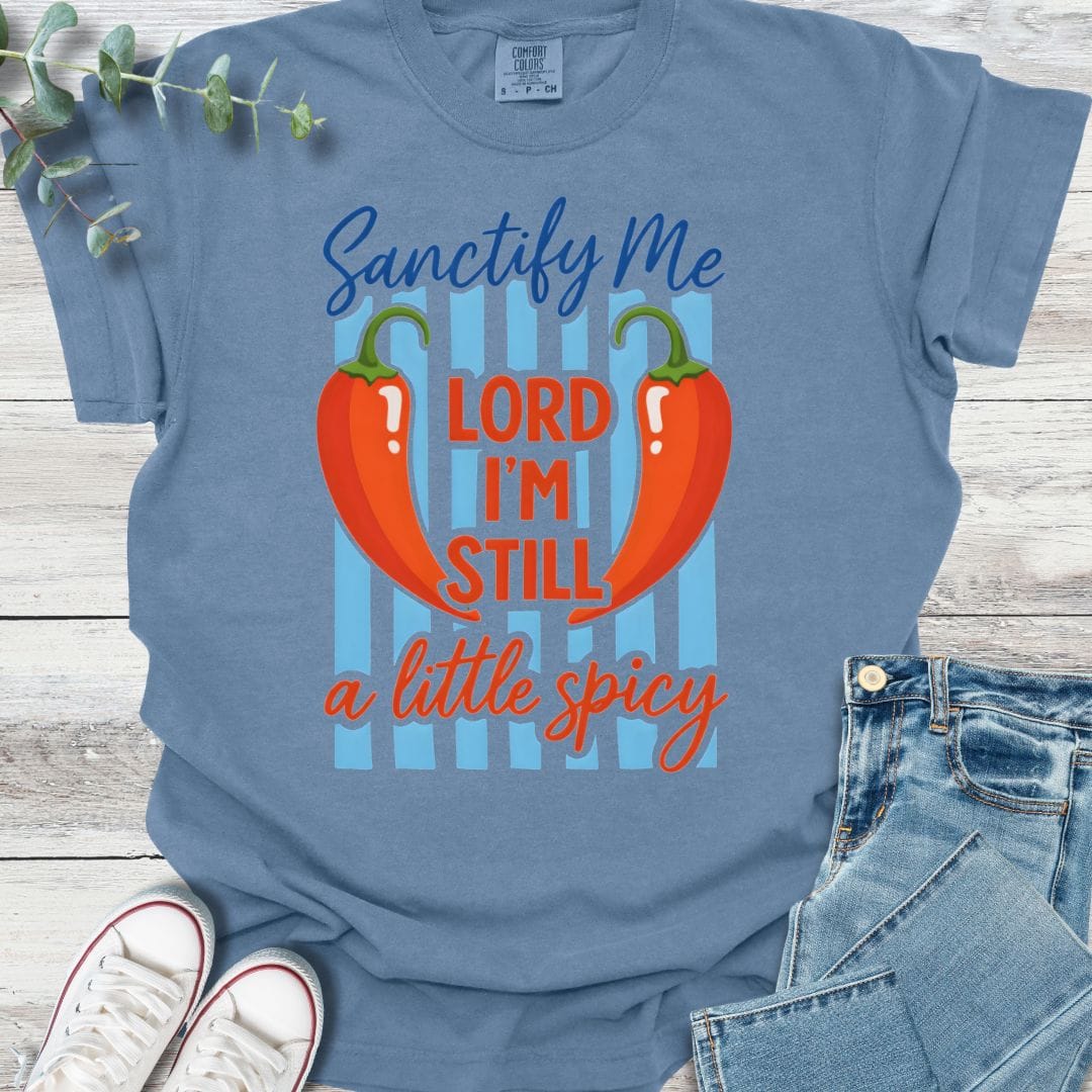 Sanctified Spice T-shirt in Blue Jean - Christian graphic tee