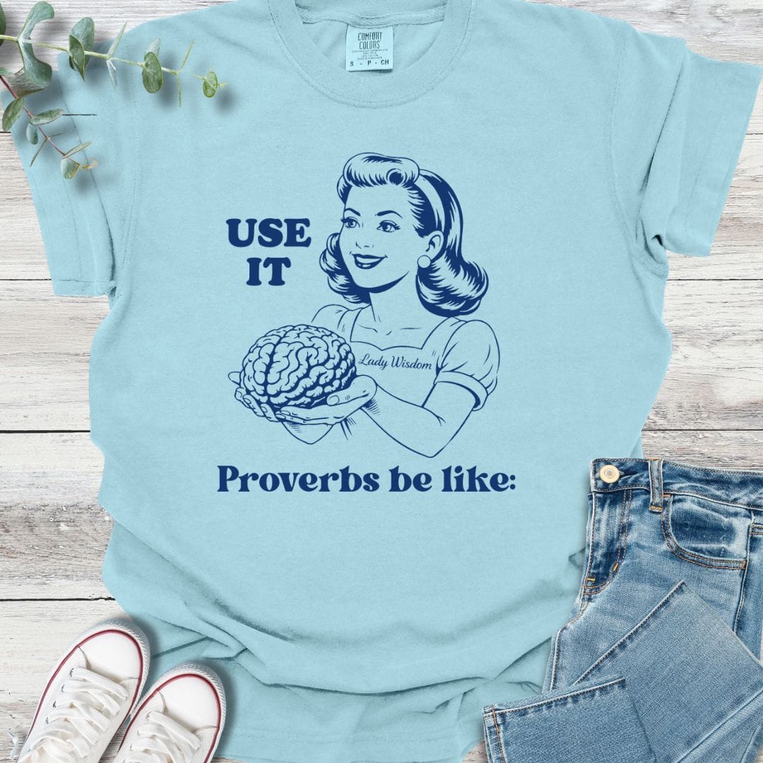 Lady Wisdom T-shirt in Chambray - Christian graphic tee