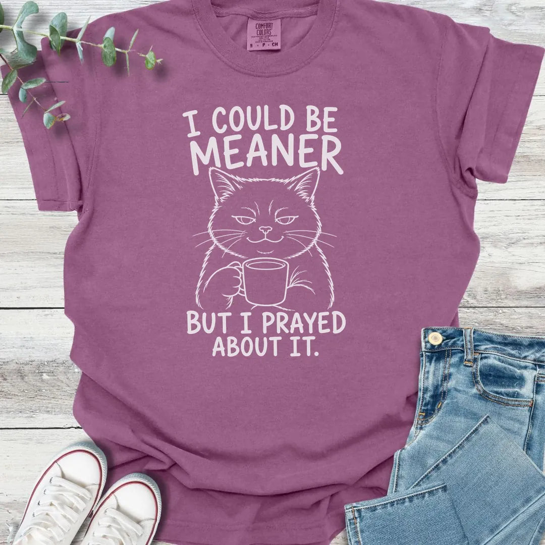 Could Be Meaner T-Shirt