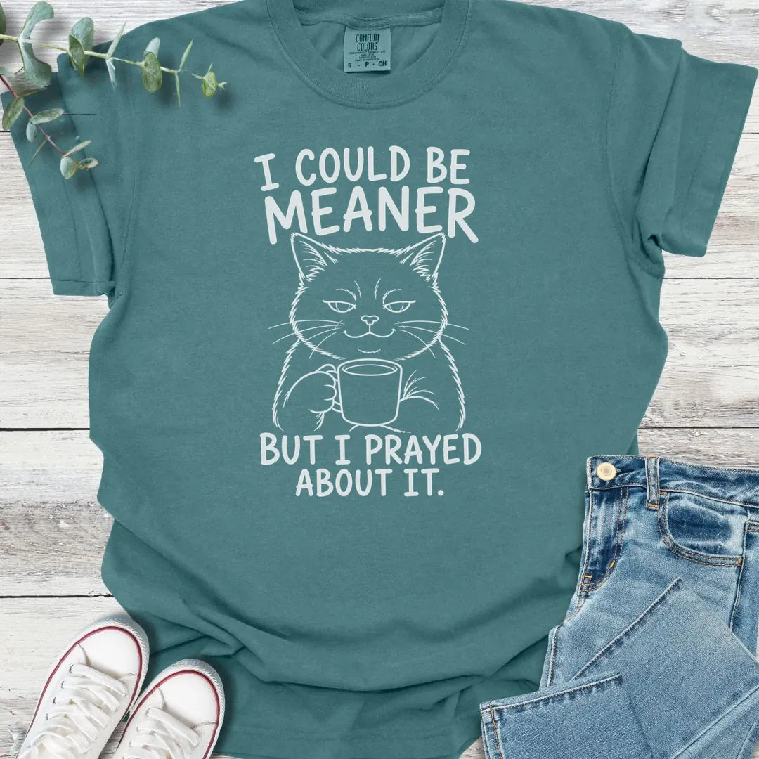 Could Be Meaner T-Shirt