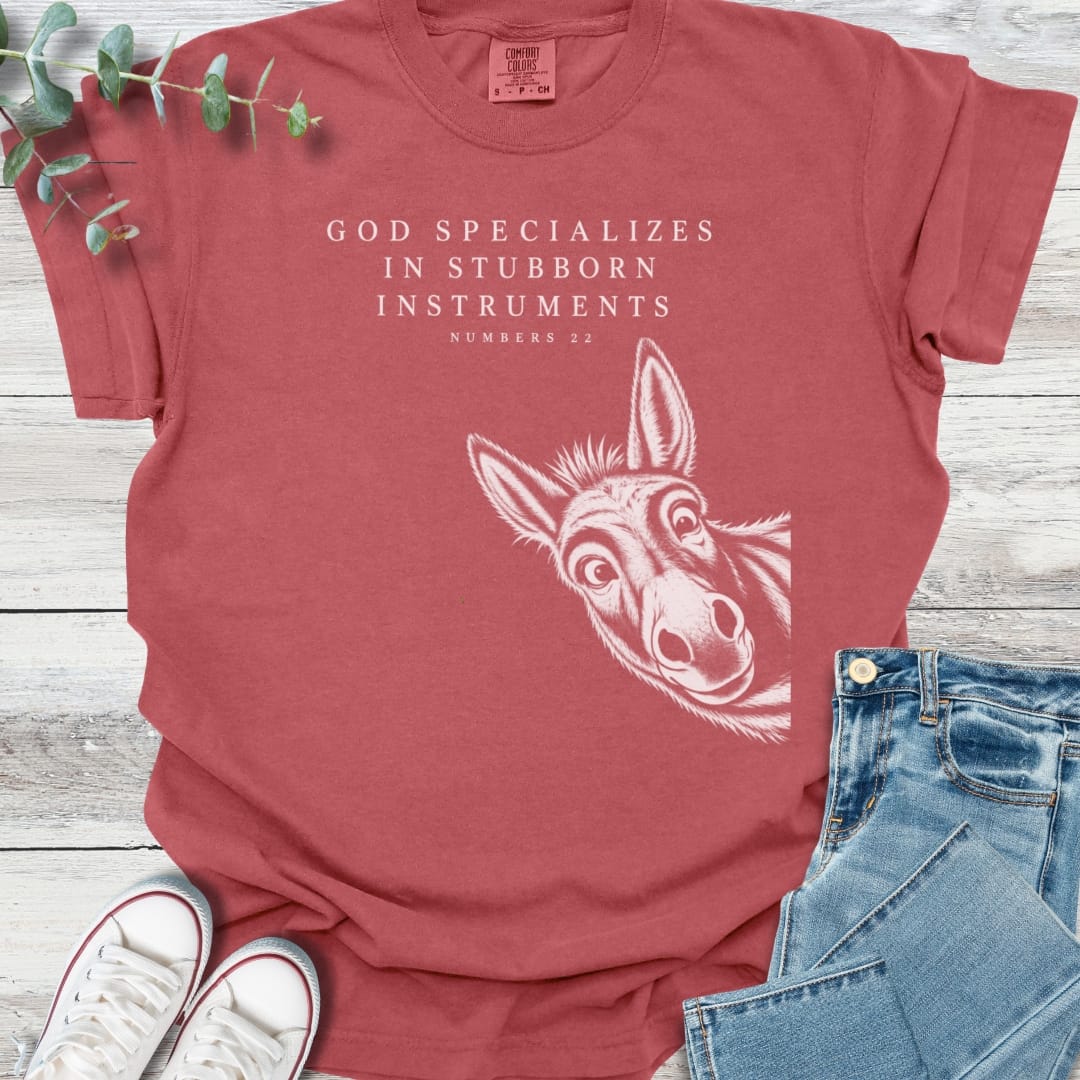 Special Instruments T-Shirt - Christian graphic tee