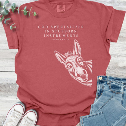 Special Instruments T-Shirt - Christian graphic tee