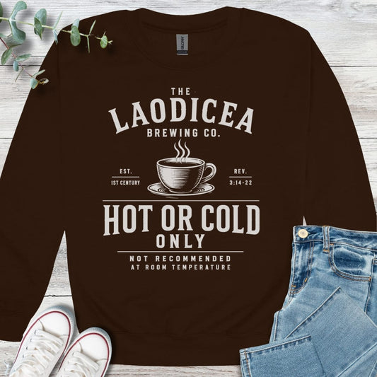 Hot or Cold Sweatshirt - Christian graphic sweatshirt