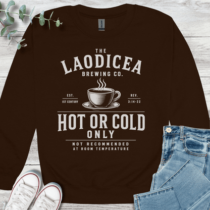 Hot or Cold Sweatshirt - Christian graphic sweatshirt