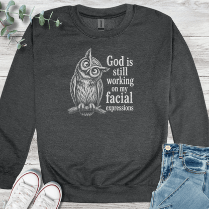 Facial Sanctification Sweatshirt - Christian graphic sweatshirt