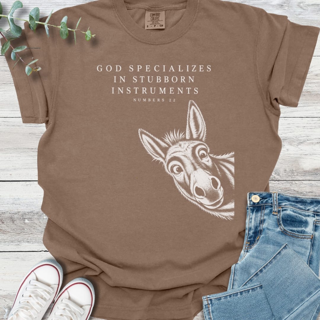 Special Instruments T-Shirt - Christian graphic tee