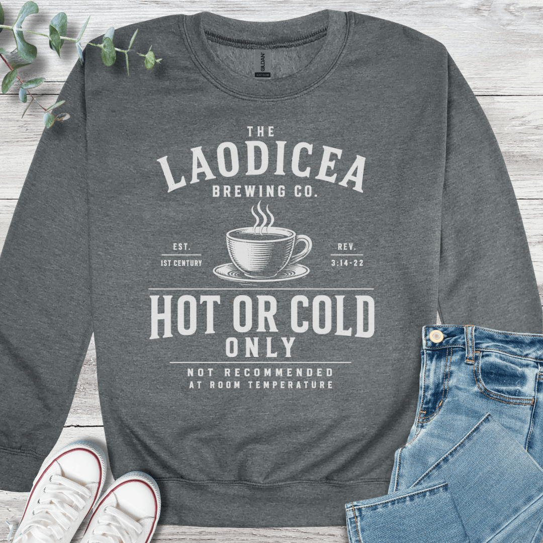 Hot or Cold Sweatshirt - Christian graphic sweatshirt