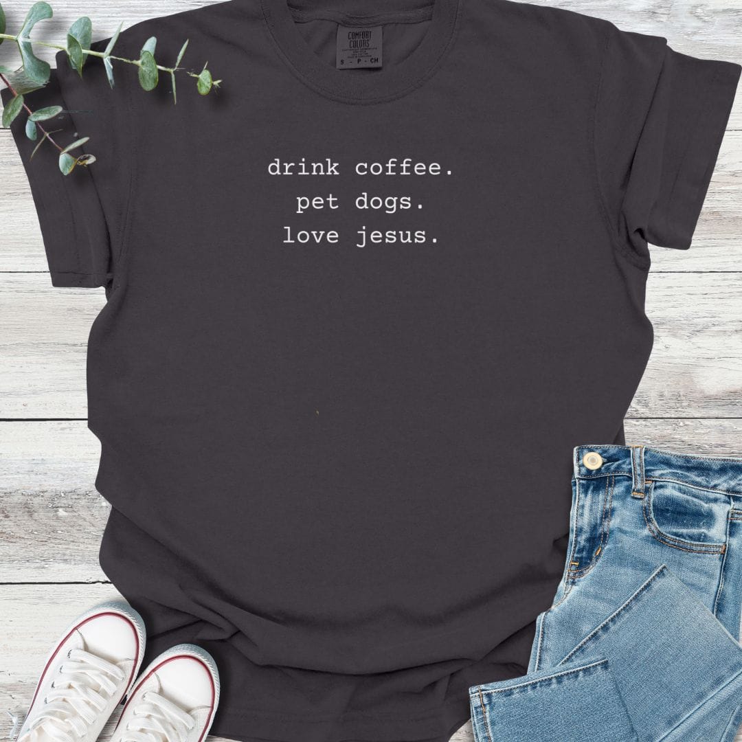 Daily Delights T-shirt in Graphite - Christian graphic tee