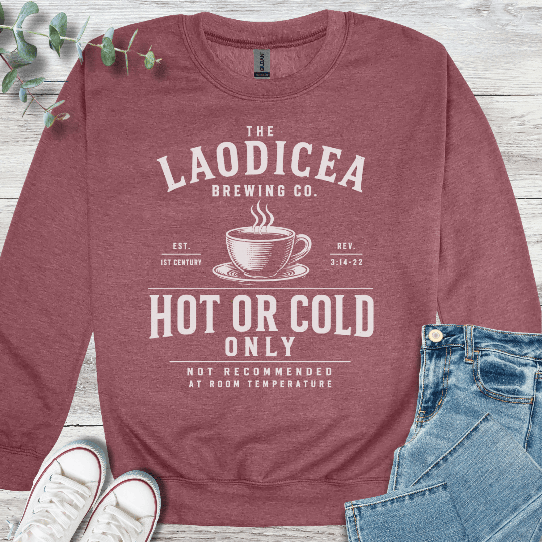 Hot or Cold Sweatshirt - Christian graphic sweatshirt