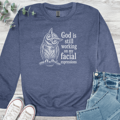 Facial Sanctification Sweatshirt - Christian graphic sweatshirt