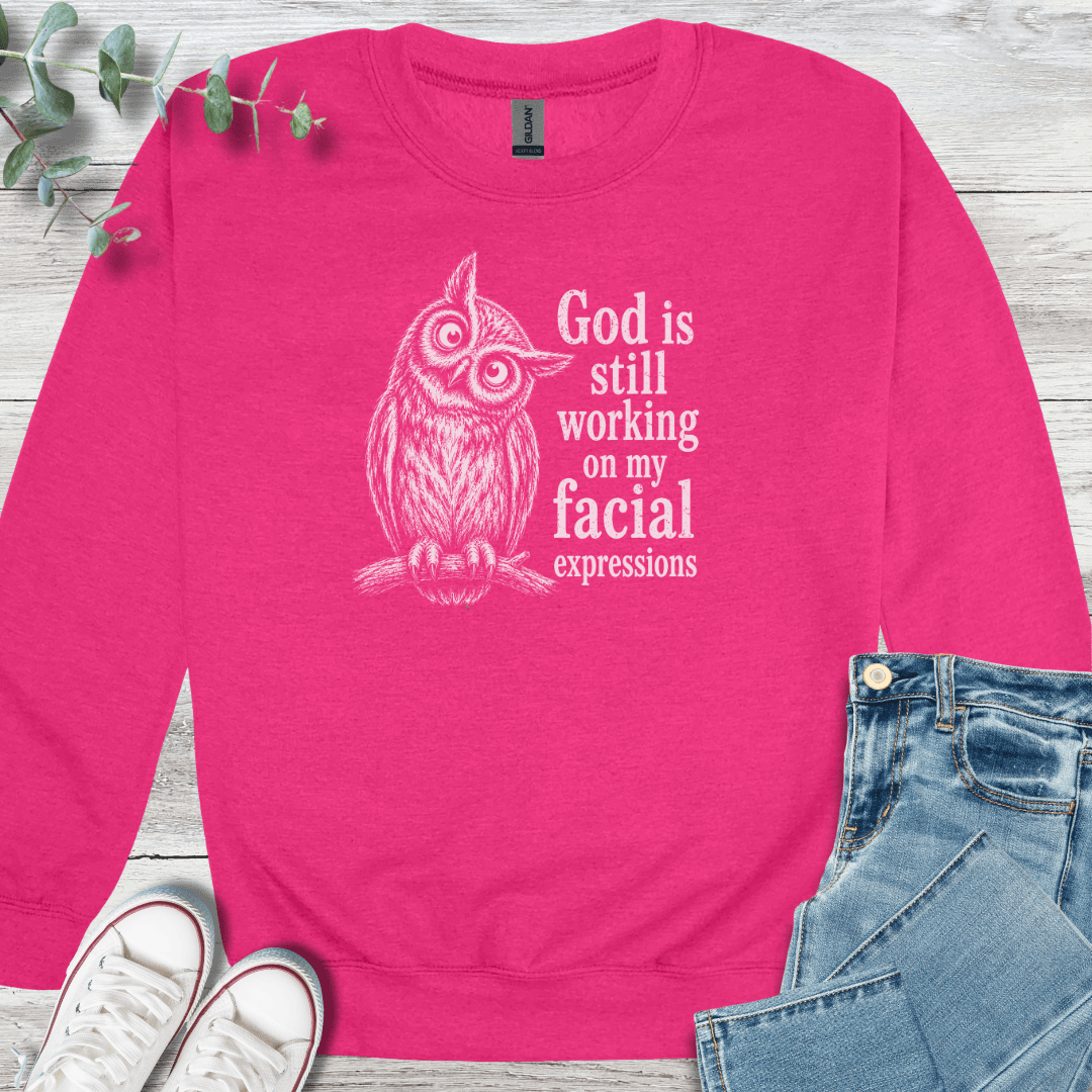 Facial Sanctification Sweatshirt - Christian graphic sweatshirt