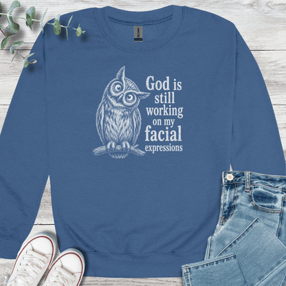 Facial Sanctification Sweatshirt - Christian graphic sweatshirt