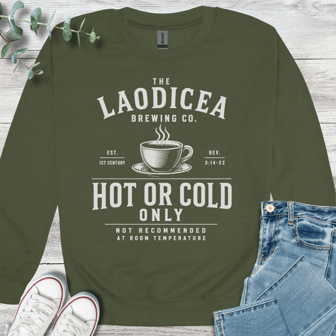 Hot or Cold Sweatshirt - Christian graphic sweatshirt