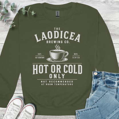 Hot or Cold Sweatshirt - Christian graphic sweatshirt