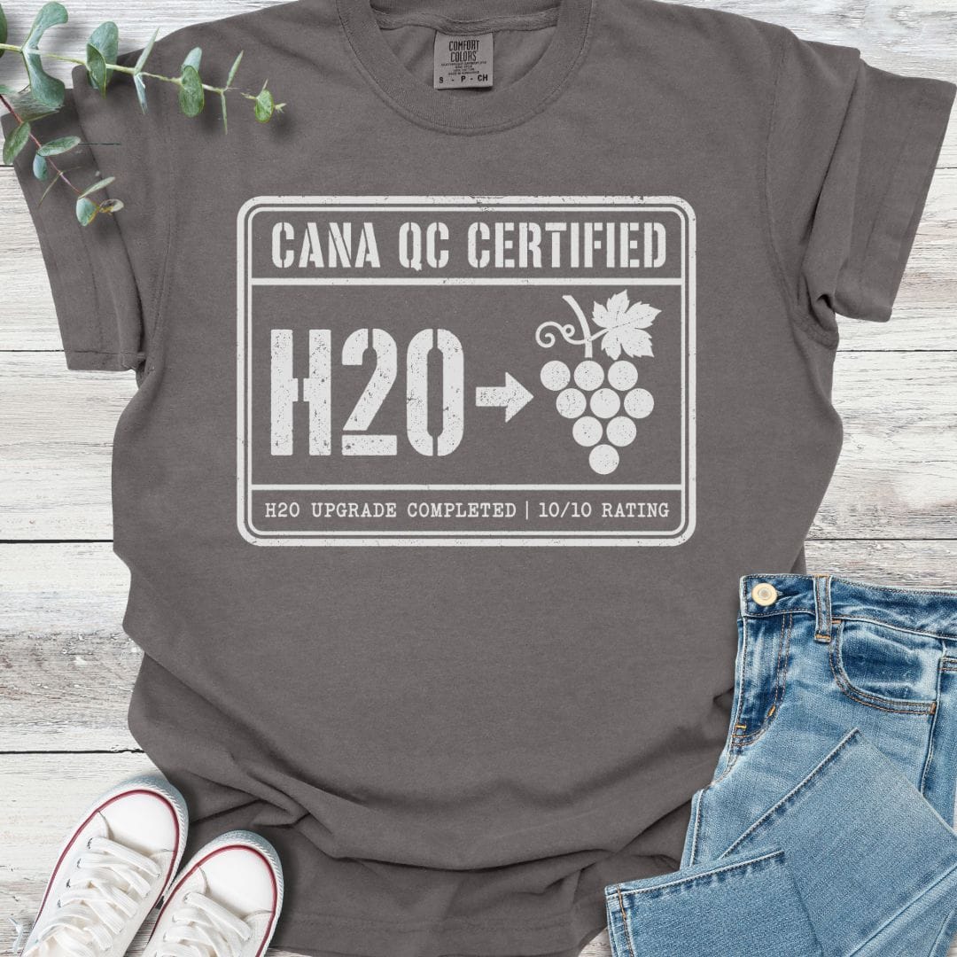 H20 Upgrade T-Shirt in Pepper - Christian graphic tee