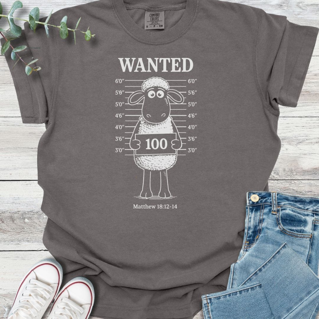 Wanted T-shirt in Pepper - Christian graphic tee