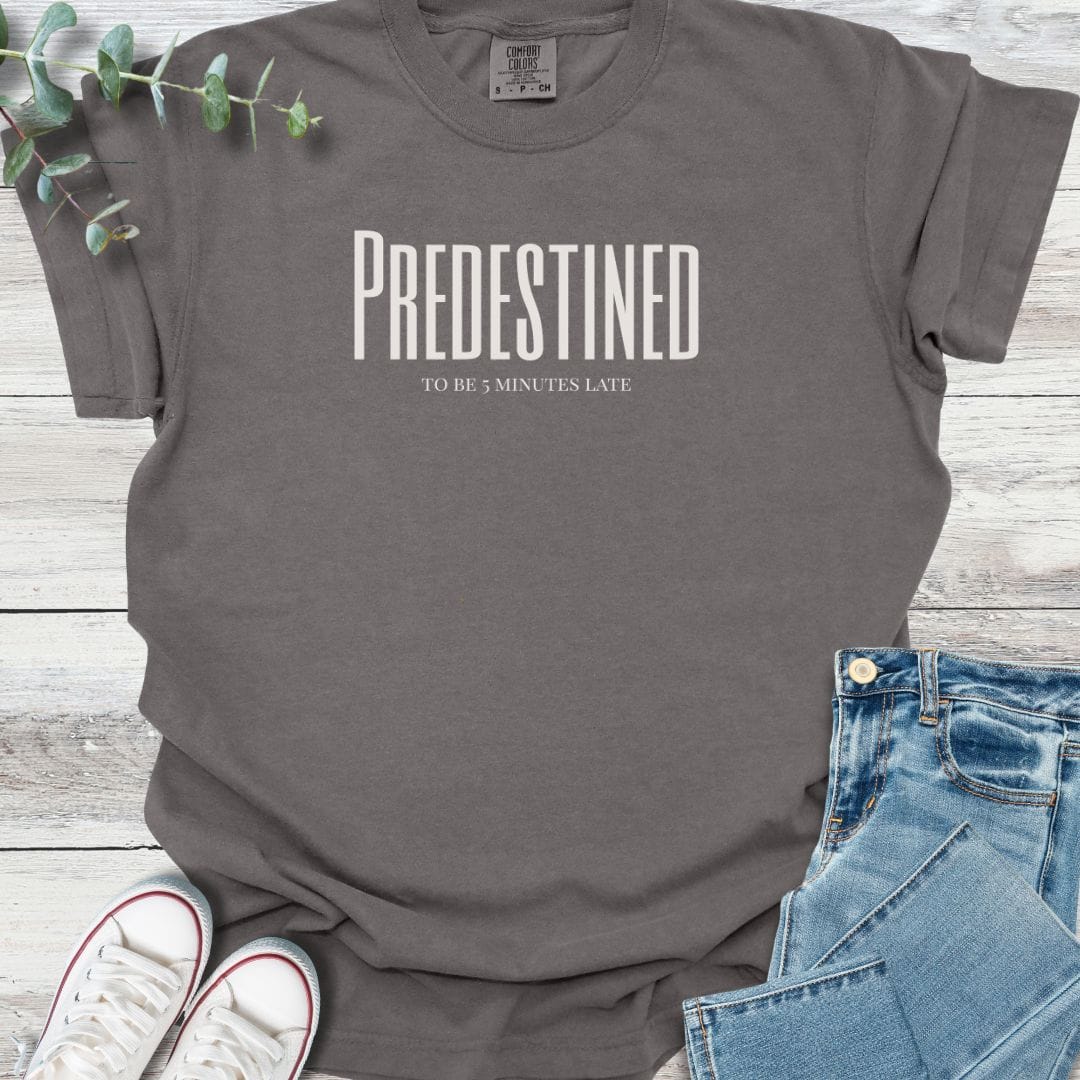 Predestined T-Shirt in Pepper - Christian graphic tee